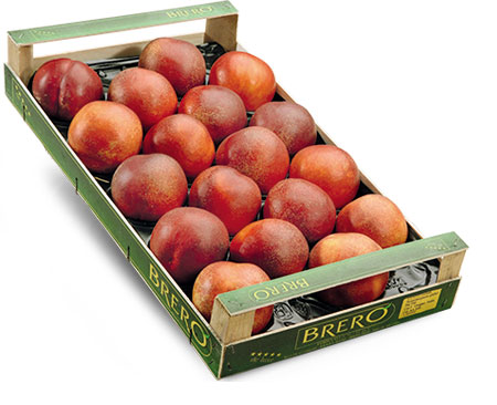 nectarines packaging