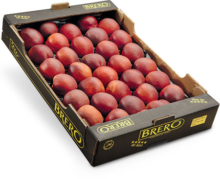 nectarines packaging