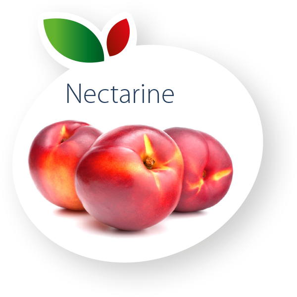 nectarine