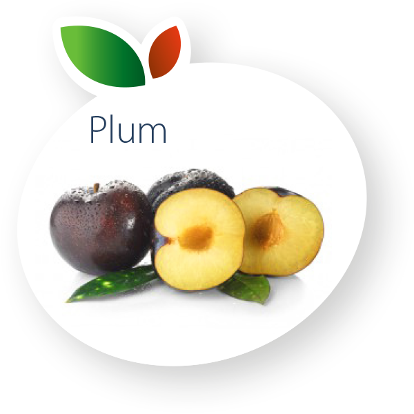 plum