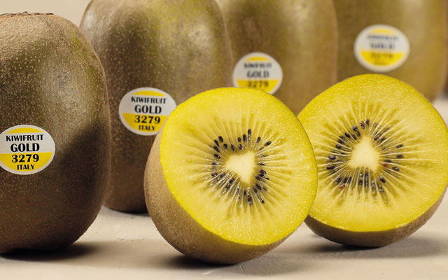 kiwi giallo